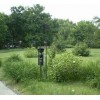 Image 01