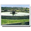 Image 01