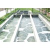 Image 01