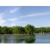 Image 01