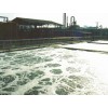 Image 01