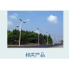 Image 01