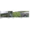 Image 01