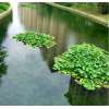 Image 01
