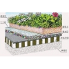 Image 01