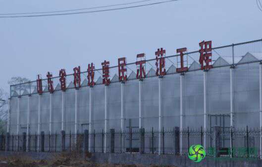 QQ图片20151007075621