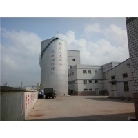Image 01