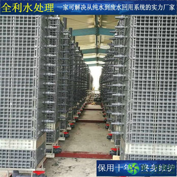 世来福9