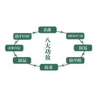 Image 01