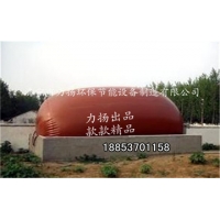 Image 01