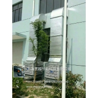 Image 01