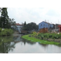 Image 01