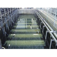 Image 01