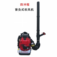 Image 01