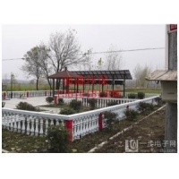 Image 01