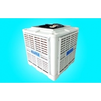 Image 01