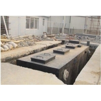 Image 01