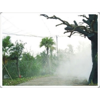 Image 01