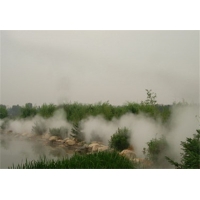 Image 01