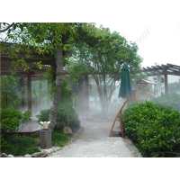 Image 01