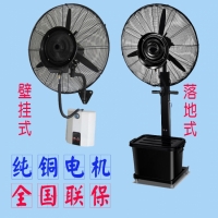 Image 01