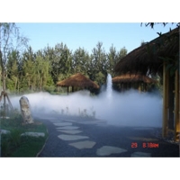 Image 01