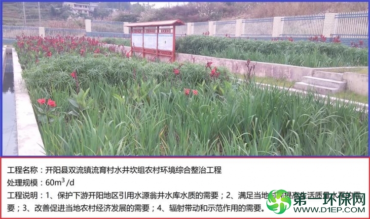 处理1 处理1
