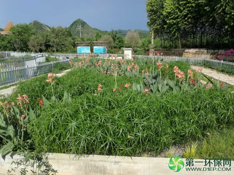 兴义下五屯微动力人工湿地