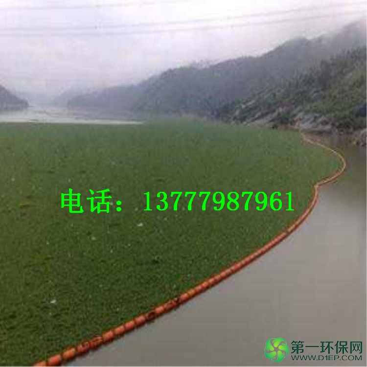 284050512046491721_副本