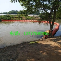 Image 01