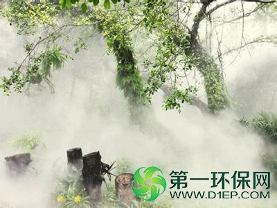 假山水池园林景观人造雾7 假山水池园林景观人造雾7