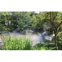 Image 01