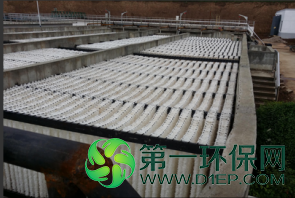 图片11 图片11