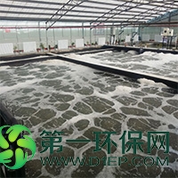 未标题-2 未标题-2