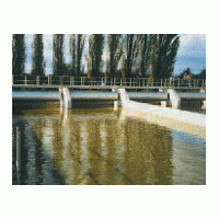 Image 01