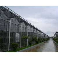 Image 01