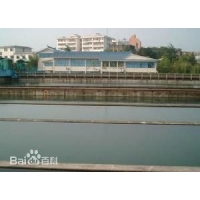 Image 01